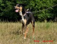/album/krizenec-tony/dsc-0005-jpg3/